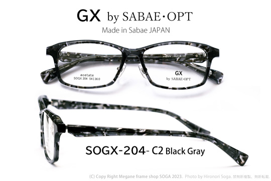 SOGX-204-C2(1)