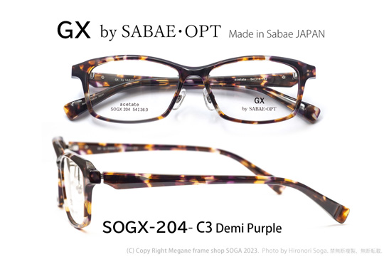SOGX-204-C3(1)